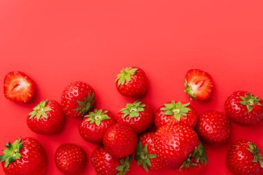 Kırmızı arka planda taze olgun çilekler, düz uzanmış. Metin için boşluk
