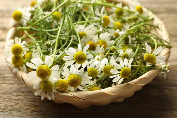 Taze papatya çiçekleri hasır sepetin içinde ahşap masanın üzerinde, yakın plan.