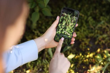 Açık havada akıllı telefondan bitki tanıma uygulaması kullanan bir kadın.