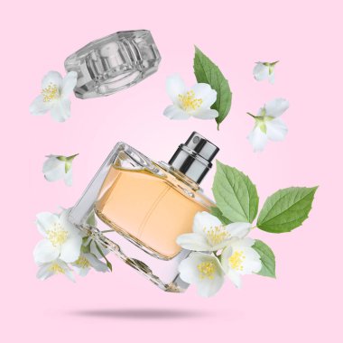 Bir şişe çiçek parfümü ve pembe arka planda yasemin çiçekleri.
