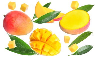Beyaz arka planda lezzetli mango meyveleri ve yeşil yapraklar, kolaj.