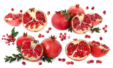 Nar ve yeşil yapraklar beyaza bürünmüştür.