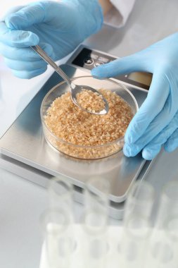 Petri kabını tartan bilimadamı beyaz ayna masasında, yakın plan.