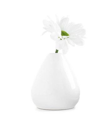 Seramik vazodaki güzel kasımpatı beyaza izole edilmiş.