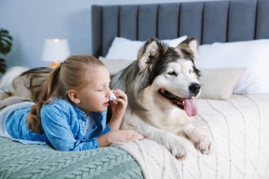 Evde köpeğiyle yatakta alerjisi olan bir kız.