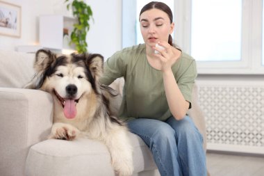 Evde köpeğine alerjisi olan bir kadın.