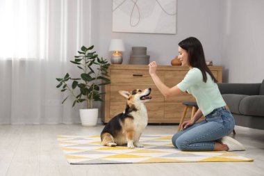 Mutlu kadın köpeğini evde eğitiyor.