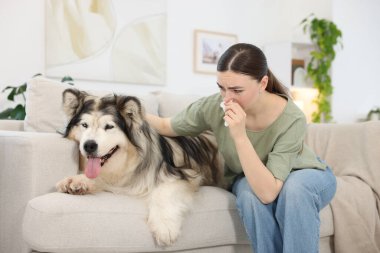 Evde köpeğine alerjisi olan bir kadın.
