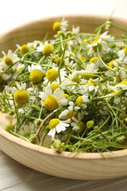 Taze papatya çiçekleri kasede beyaz ahşap masada, yakın plan.