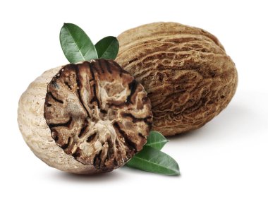 Beyaz arka planda yeşil yapraklı fındık tohumları. Aromatik baharat