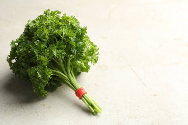 Işık masasında bir demet taze maydanoz, yakın plan. Metin için boşluk