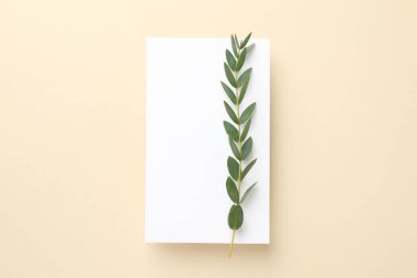 Boş davetiye kartı ve bej arka planda yeşil dal, üst görünüm