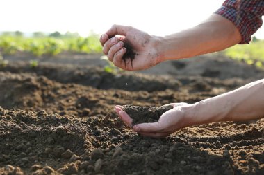 Tarlada toprak yığını tutan adam, yakın plan. Metin için boşluk