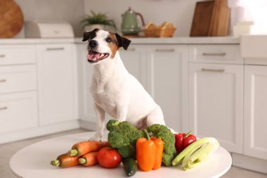 Mutfaktaki tatlı köpek ve taze sebzeler. Evcil hayvan maması.