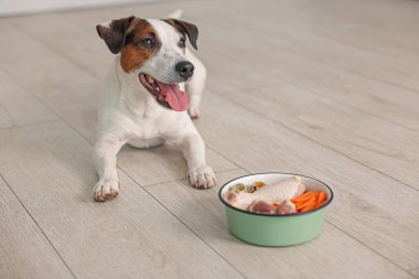 Evde yerde taze doğal ürünleri olan şirin bir köpek ve kase. Evcil hayvan maması.