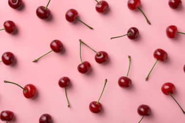 Pembe arka planda taze kirazlar, düz uzanmış.