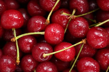 Arka plan olarak birçok ıslak vişne, yakın plan