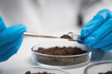 Bilimadamları araştırma için laboratuarda toprak örneği alıyor. Yakın plan.