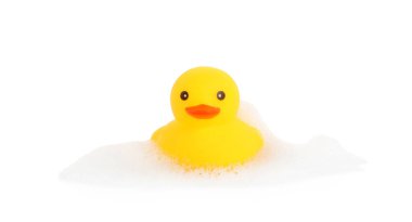 Beyaz bir ördek ve köpük.