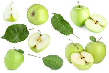 Taze yeşil elma meyveleri ve beyaz yapraklar, kolaj