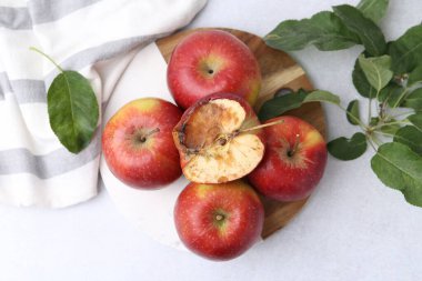 Şımarık elma ve iyi elmalar beyaz masada, düz yatıyordu.