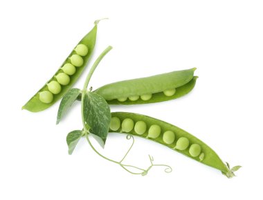 Kabuklu taze bezelyeler izole ve beyaz filizlenir.