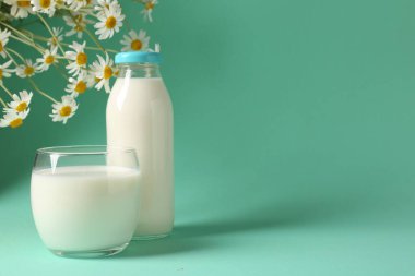Bardakta taze süt, şişe ve turkuaz arka planda papatya çiçeği, mesaj için yer. Süt ürünü