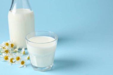 Şişede taze süt, açık mavi arka planda cam ve papatya çiçekleri, metin için yeri olan yakın plan. Süt ürünleri