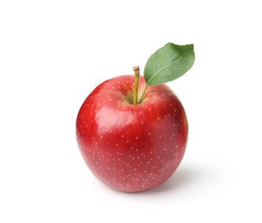 Beyaz yapraklı bir kırmızı elma.