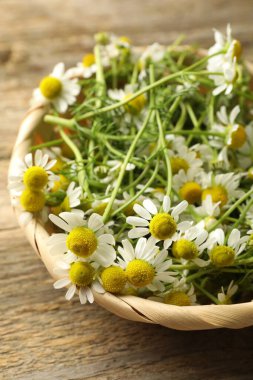 Taze papatya çiçekleri hasır sepetin içinde ahşap masanın üzerinde, yakın plan.