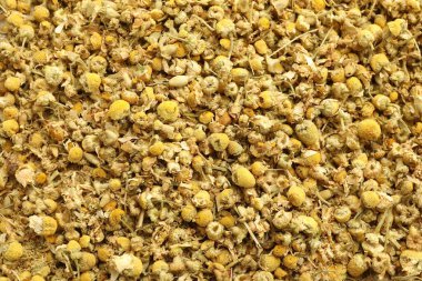 Arka plan olarak papatya çiçeklerini kurut, üst manzara