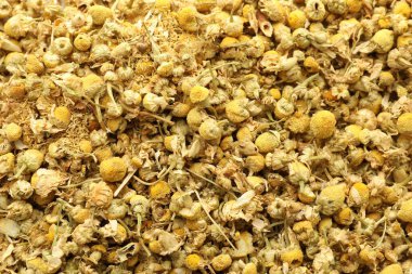 Arka plan olarak papatya çiçeklerini kurut, üst manzara