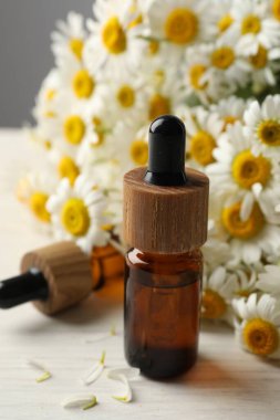 Bir şişe gerekli yağ ve papatya çiçekleri açık ahşap masada, yakın plan.