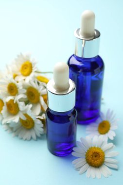 Açık mavi arka planda gerekli yağ ve papatya çiçekleri, yakın plan.