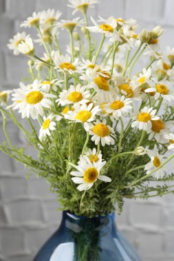 Bulanık arkaplanda vazoda güzel papatya çiçekleri, yakın plan.