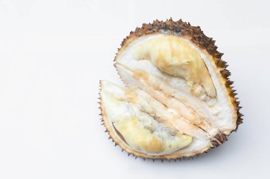 Beyaz arka planda taze olgun durian, metin için boşluk. Egzotik meyve