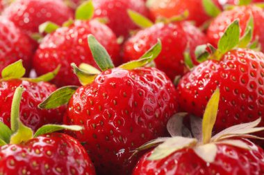 Arka plan, closeup olarak birçok taze olgun çilek