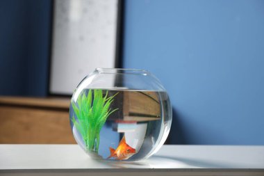 Yuvarlak akvaryumdaki güzel akvaryumdaki balıklar beyaz masa içinde.