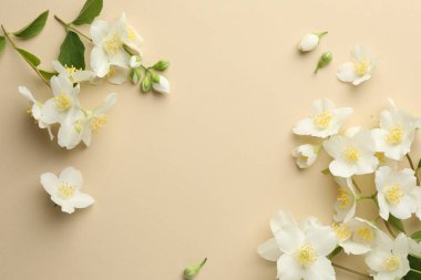 Güzel yasemin çiçekleri bej arka planda, düz yerde. Metin için boşluk