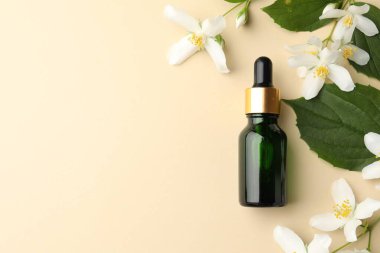 Temel yağ, güzel yasemin çiçekleri ve bej arka planda yeşil yapraklar. Metin için boşluk