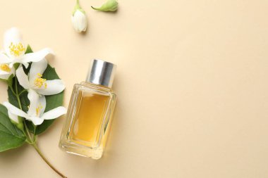 Bir şişe parfüm, güzel yasemin çiçekleri ve bej arka planda yeşil yapraklar. Metin için boşluk