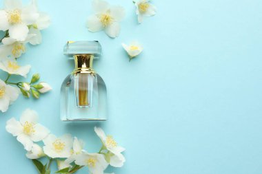 Bir şişe parfüm ve açık mavi arka planda yasemin çiçekleri. Metin için boşluk
