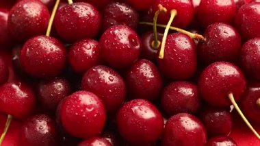 Olgun kirazların çoğu su damlalarıyla dönüyor.