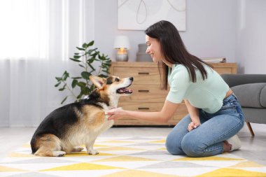 Mutlu kadın köpeğini evde eğitiyor.