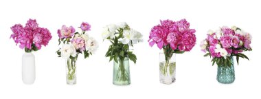 Beyaz vazolardaki şakayık buketleri.