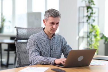 Ofiste masada dizüstü bilgisayar üzerinde çalışan işadamı