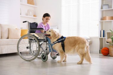 Hizmetçi köpeğiyle tekerlekli sandalyedeki kız.