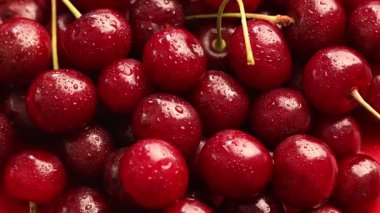 Olgun kirazların çoğu su damlalarıyla dönüyor.