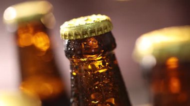 Bulanık arka planda damlaları olan bir şişe lezzetli bira, kamera aşağı iniyor.