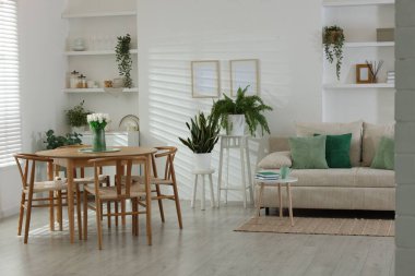 Rahat bir kanepe, masa, sandalyeler ve yeşil ev bitkileri. İç tasarım